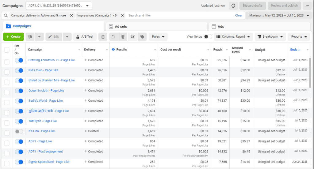 Meta Ads Management Service